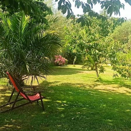 Appartement En Bord De Mer 40 M2, 2 Personnes Étables Eksteriør billede